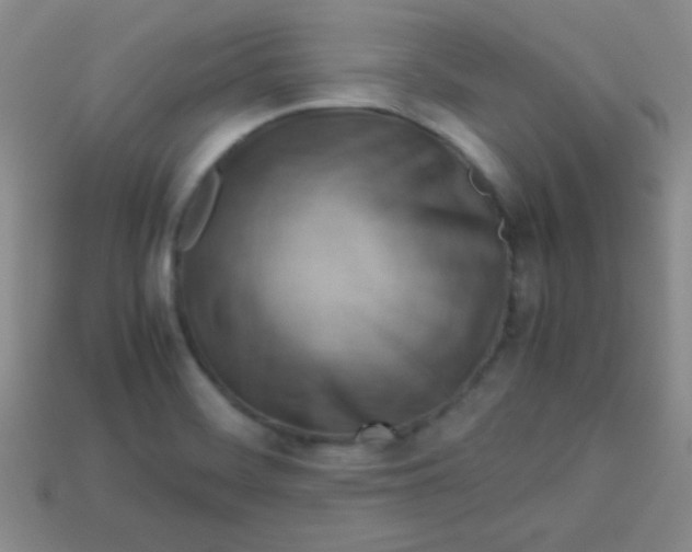 X0000113591468200910091449