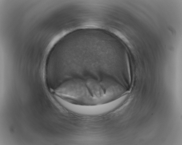 X0000113591469200910091449