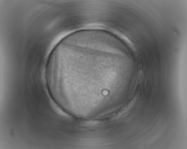 X0000113591470200910091449