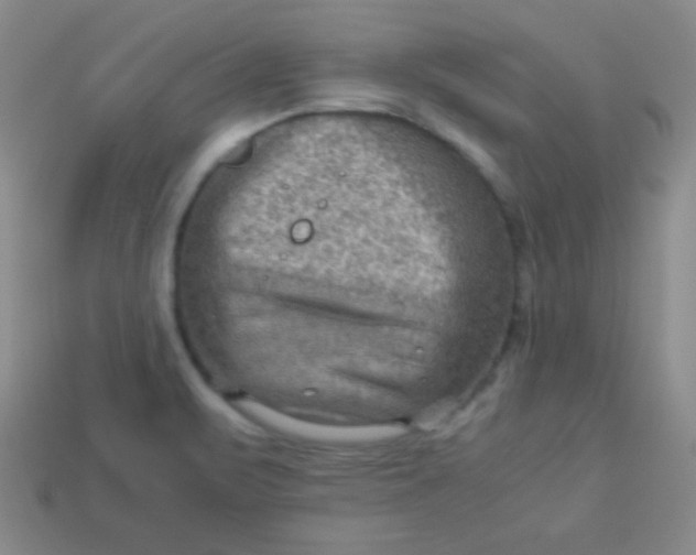 X0000113591471200910091449