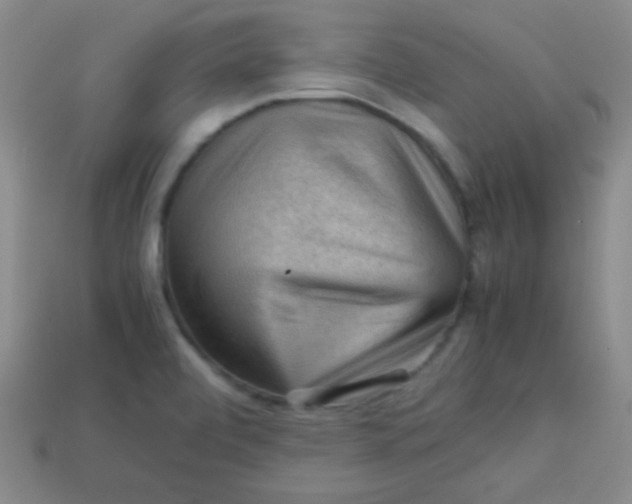 X0000113591472200910091449