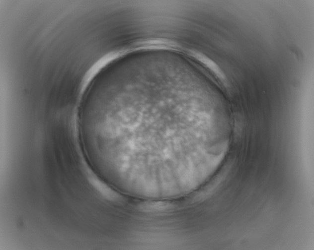 X0000113591474200910091449