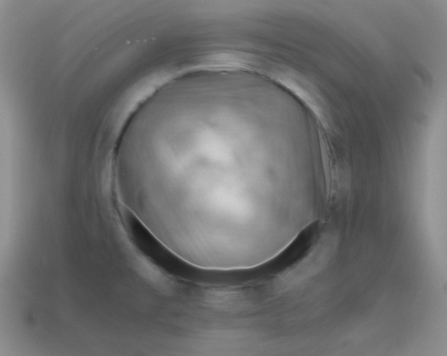 X0000113591477200910091449