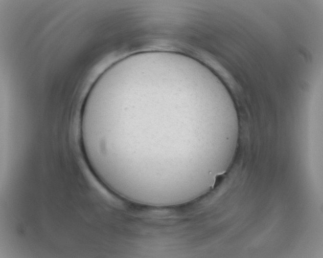 X0000113591479200910091449