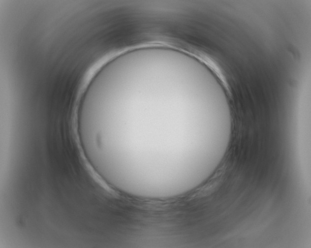 X0000113591480200910091449