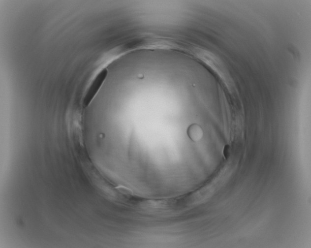 X0000113591481200910091449