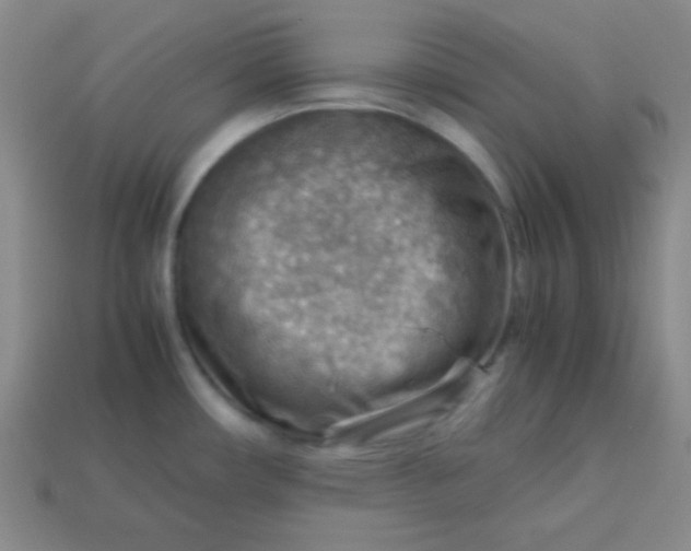 X0000113591482200910091449