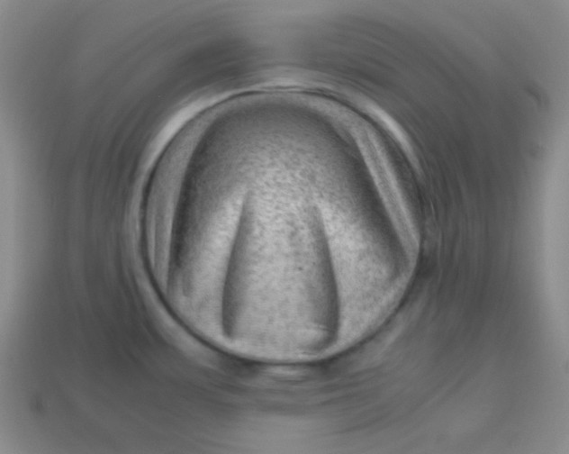 X0000113591483200910091449