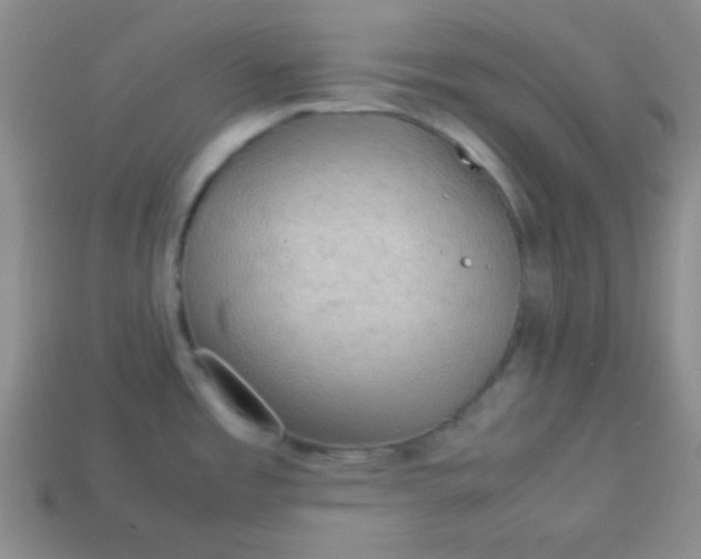 X0000113591485200910091449