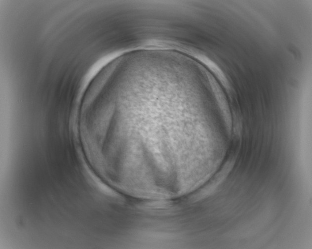 X0000113591486200910091449