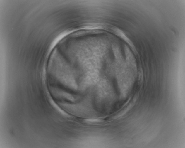 X0000113591487200910091449