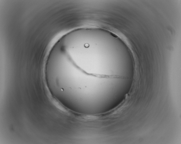 X0000113591488200910091449