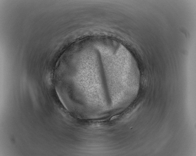 X0000113591490200910091448