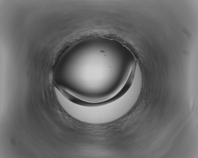 X0000113591492200910091448