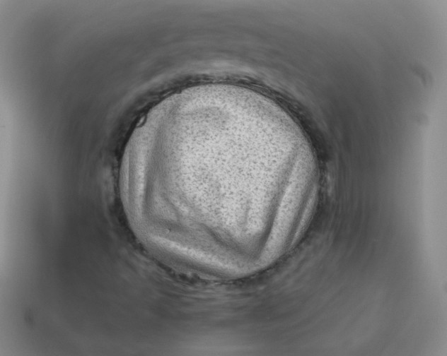 X0000113591493200910091448