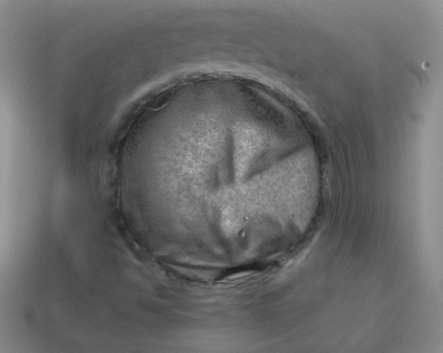 X0000113591494200910091448