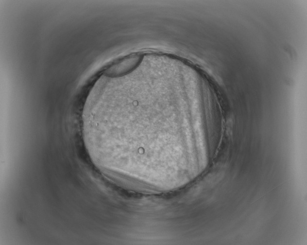 X0000113591496200910091448