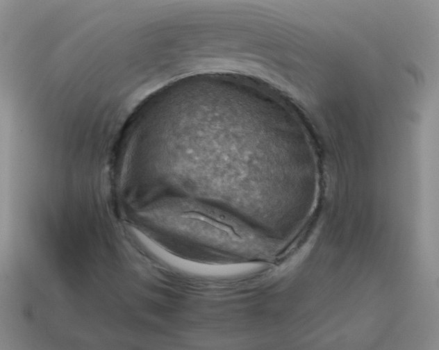 X0000113591497200910091448