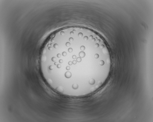 X0000113591499200910091448