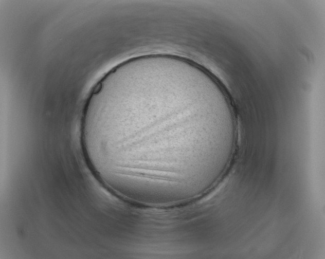 X0000113591500200910091448