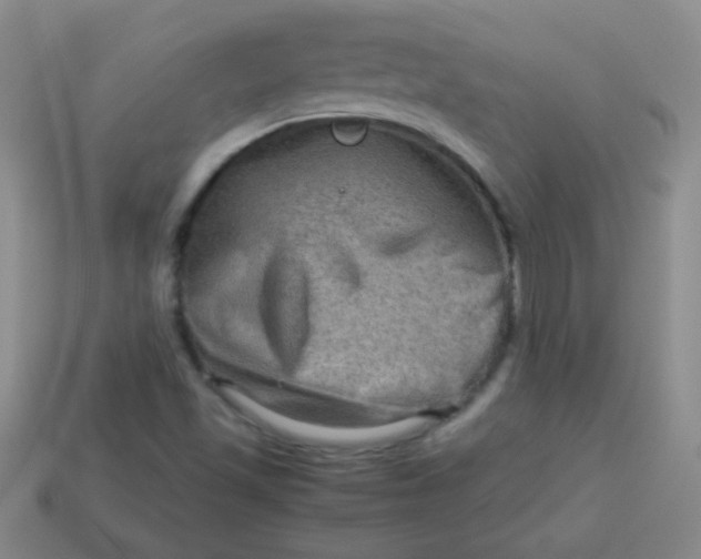 X0000113591501200910091448