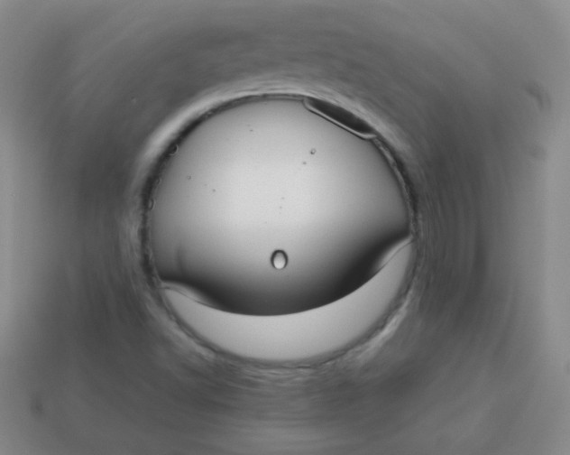 X0000113591502200910091448