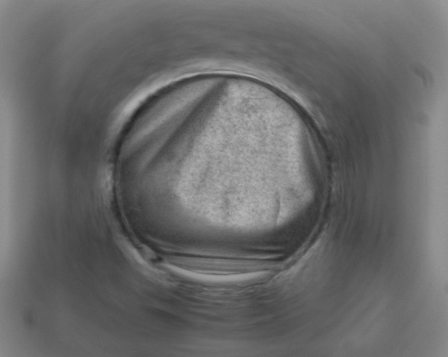 X0000113591503200910091448