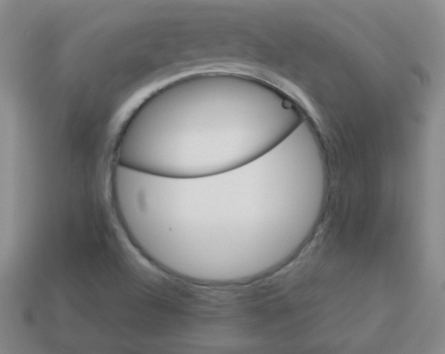 X0000113591504200910091448