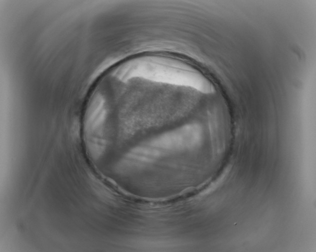 X0000113591505200910091448