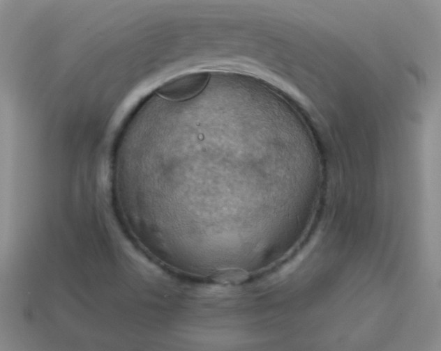 X0000113591506200910091448