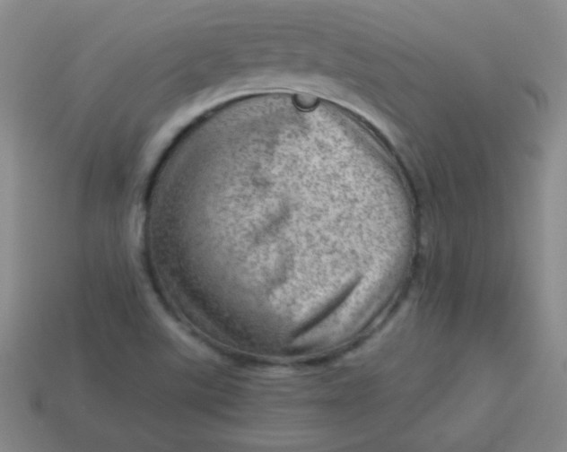 X0000113591507200910091448