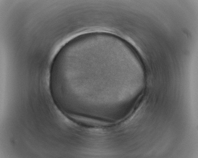 X0000113591508200910091448