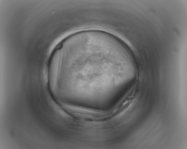 X0000113591510200910091448