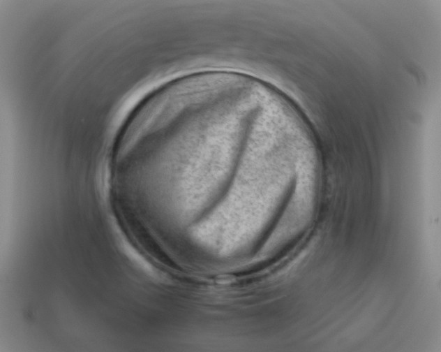 X0000113591511200910091448