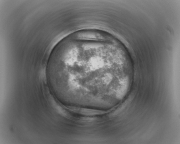 X0000113591513200910091448