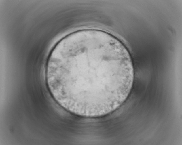 X0000113591514200910091448