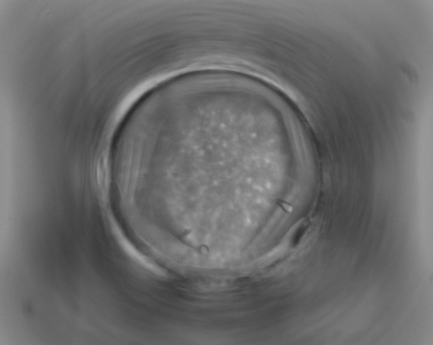 X0000113591515200910091448