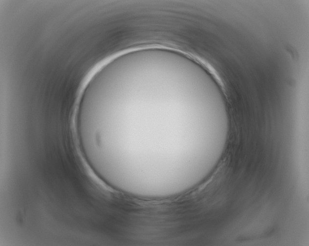 X0000113591516200910091448