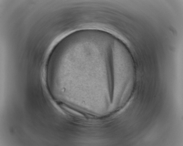 X0000113591517200910091448