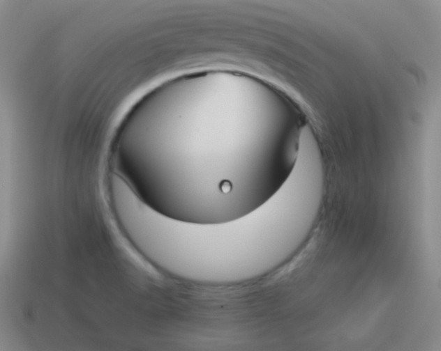 X0000113591518200910091448