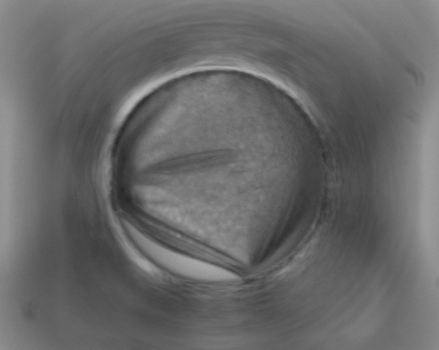 X0000113591519200910091448