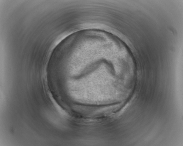 X0000113591521200910091448