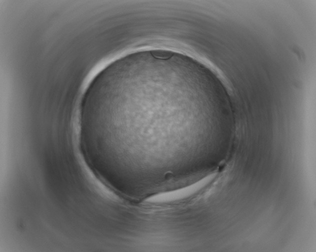 X0000113591522200910091448