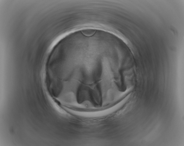 X0000113591523200910091449