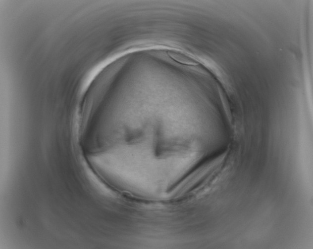 X0000113591524200910091449