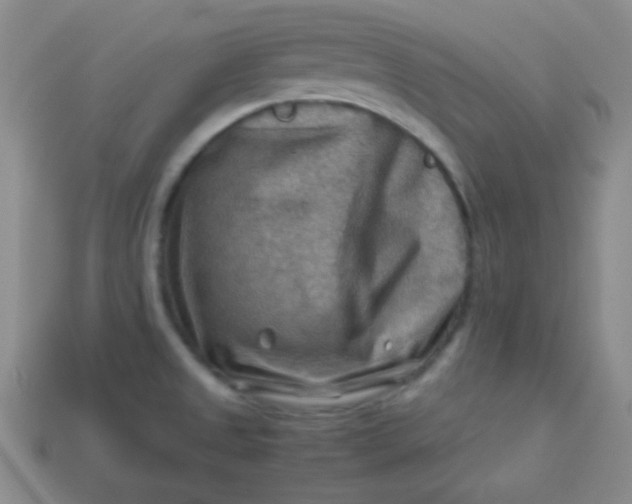 X0000113591525200910091449