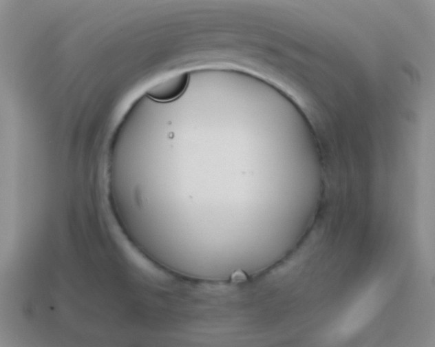 X0000113591526200910091449