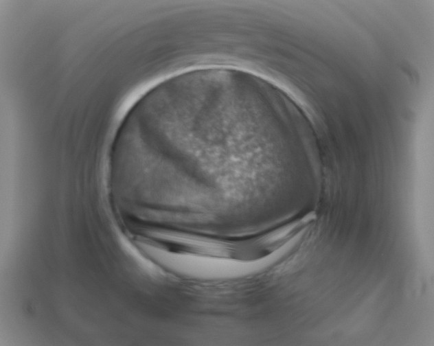 X0000113591527200910091449