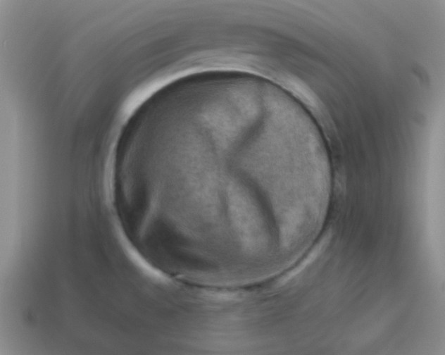 X0000113591528200910091449