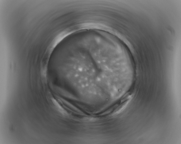 X0000113591529200910091449